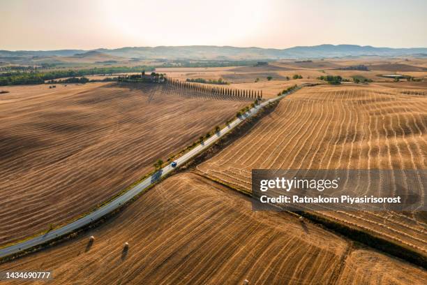 beautiful famous location landscape sunset curve of tree and agricultural farm field after harvest in tuscany, val d'orcia, firenze, italy ,landscape has been depicted in works of art from renaissance painting to modern photography. - sunset road photos et images de collection