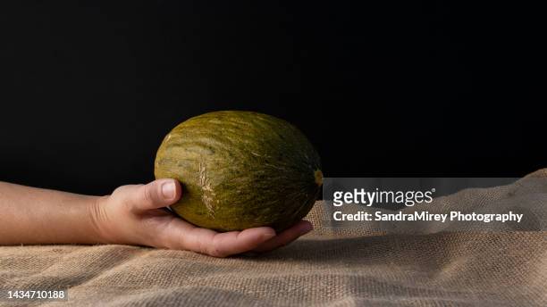 woman's hand holding organic melon from sustainable agriculture on dark background and jute fabric. - chiaroscuro - fotografias e filmes do acervo