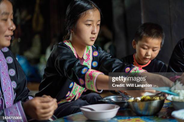 famiglia hmong che mangia cibo biologico chiang mai, tailandia - chiang rai foto e immagini stock