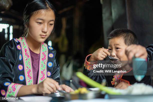 hmong hilltribe bambini famiglia che mangia cibo biologico chiang mai, tailandia - chiang rai foto e immagini stock