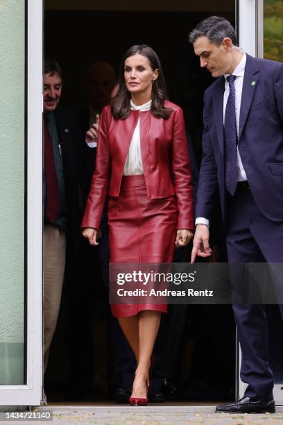 Queen Letizia of Spain attends a panel discussion on a homage to German Hispanism at Instituto Cervantes on October 19, 2022 in Frankfurt am Main,...