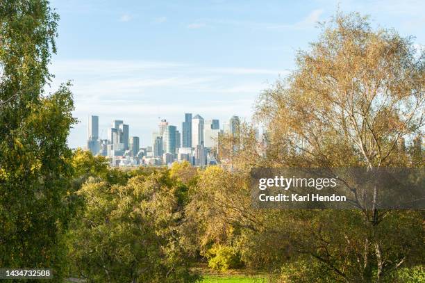 an elevated view of the canary wharf skyline from a london park - sunset on canary wharf stock-fotos und bilder
