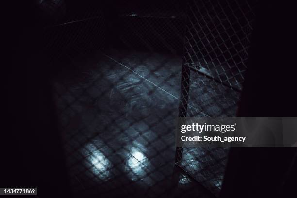 fighting cage in dark gym - octagon box stock pictures, royalty-free photos & images