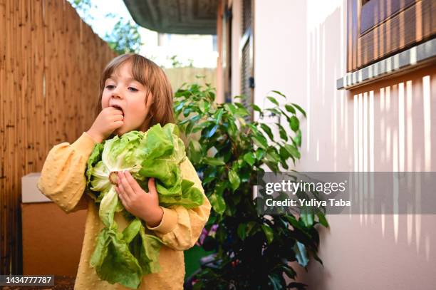 child with vegetables.  cute toddler girl eats salad in a patio. - lettuce garden stock pictures, royalty-free photos & images