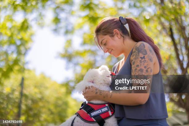 service dog - service animal stock pictures, royalty-free photos & images