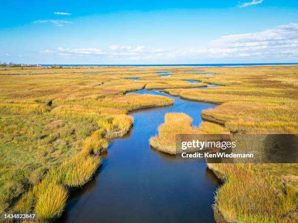 channel to the sea - tidal marsh stock pictures, royalty-free photos & images