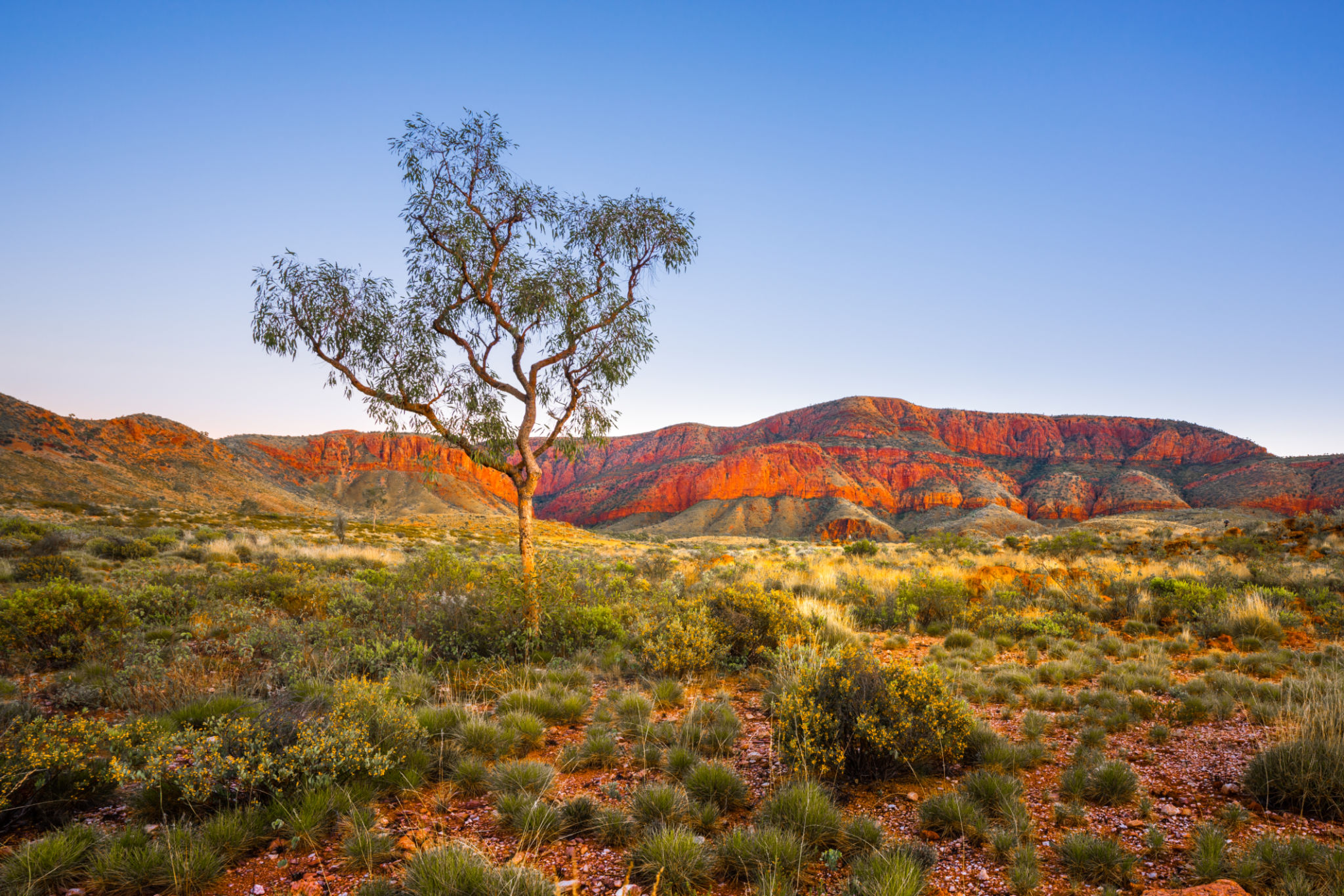 northern territory landscape