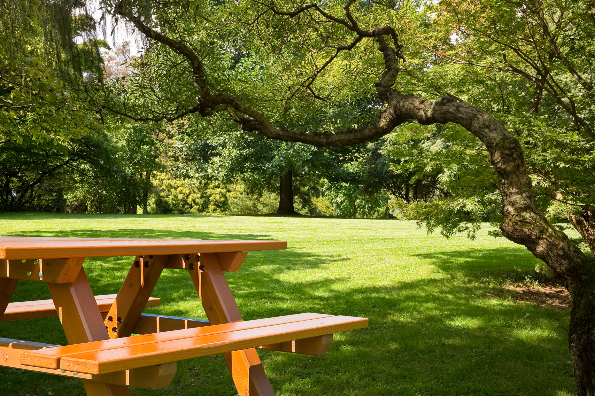 summer picnic location
