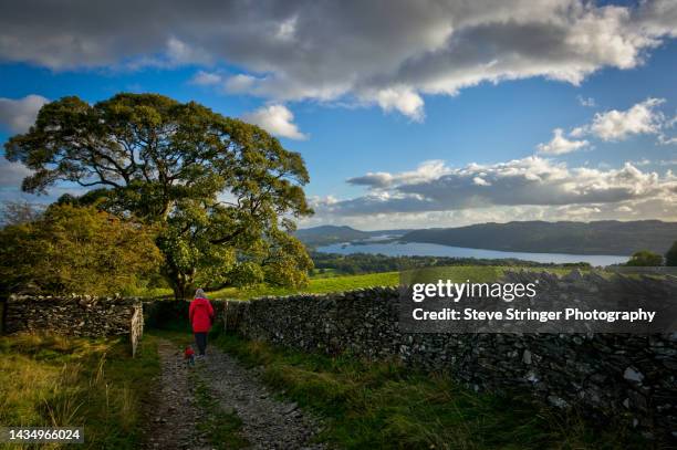 lakeland walker - lake windermere foto e immagini stock