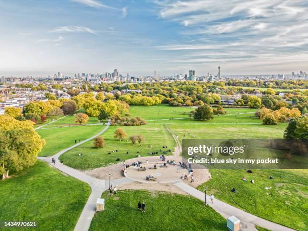 primrose hill london, from a high angle perspective in autumn - primrose hill bildbanksfoton och bilder