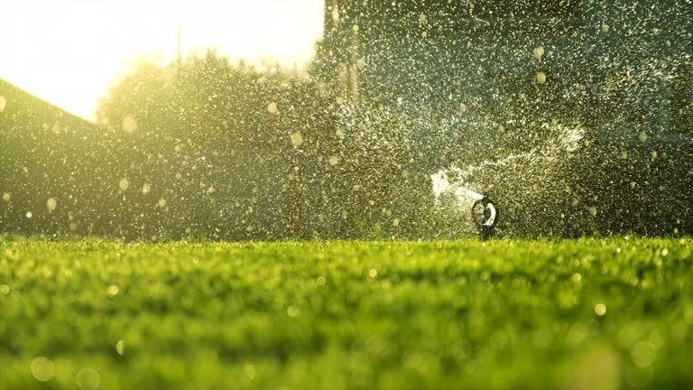 https://media.gettyimages.com/id/1434997101/video/automatic-lawn-watering-drops-of-water-selective-focus-nature.jpg?b=1&s=640x640&k=20&c=oF3K8-PkM_M3gXub4h_iD0TcmX5d27MEC7fWNZvK9Jw=