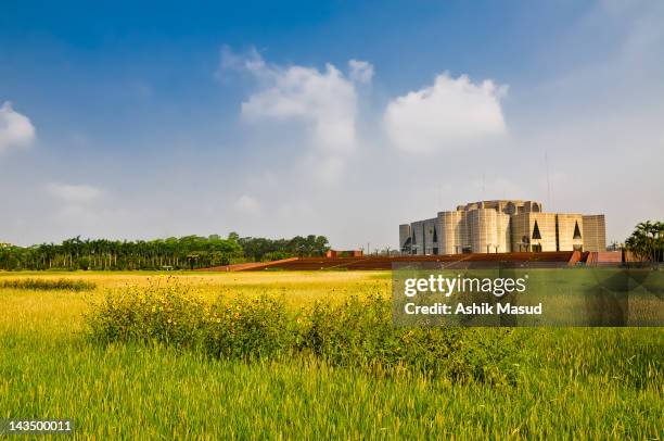 miracle building (parliament house of bangladesh) - bangladesh photos stock pictures, royalty-free photos & images