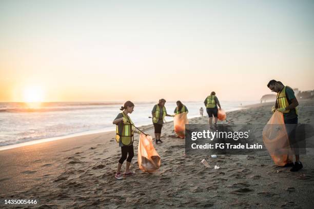 recyclers cleaning the beach - limpeza ambiental imagens e fotografias de stock