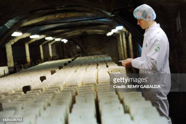 Refiner controls the quality of Roquefort cheeses on January 16, 2009 in a cellar at Roquefort-sur-Soulzon, southern France. French government and...