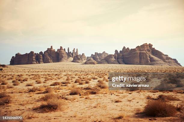 hegra landscape with rock hoodoos - arabian peninsula stock pictures, royalty-free photos & images