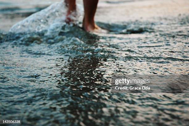human feet walking in water - wading stock pictures, royalty-free photos & images