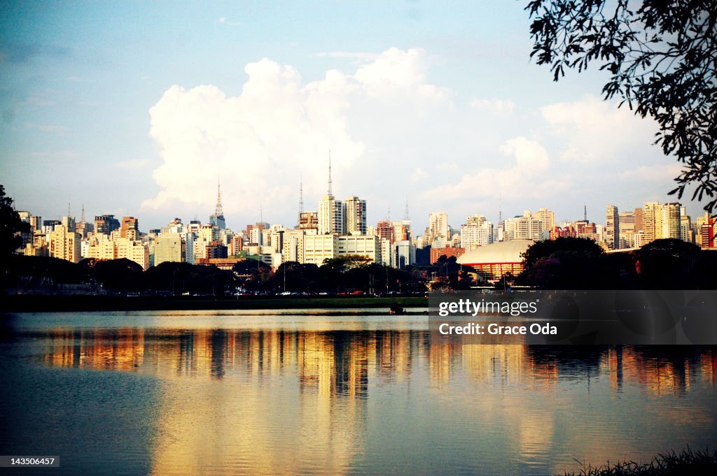 Sao paulo skyline