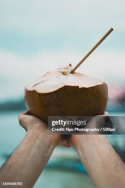 cropped hand of man holding coconut at beach - coconut water stock pictures, royalty-free photos & images