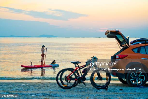 sunset sports - surf dog competition stock pictures, royalty-free photos & images