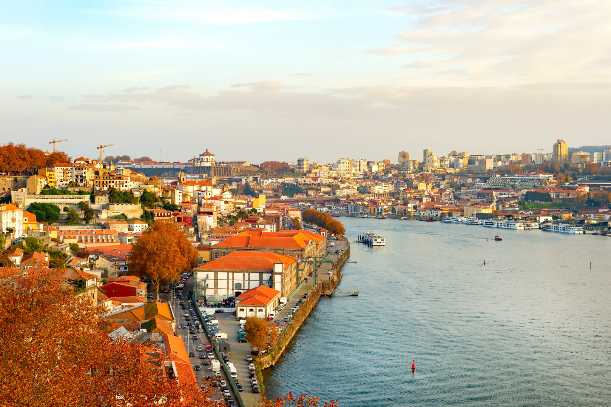 porto autumn
