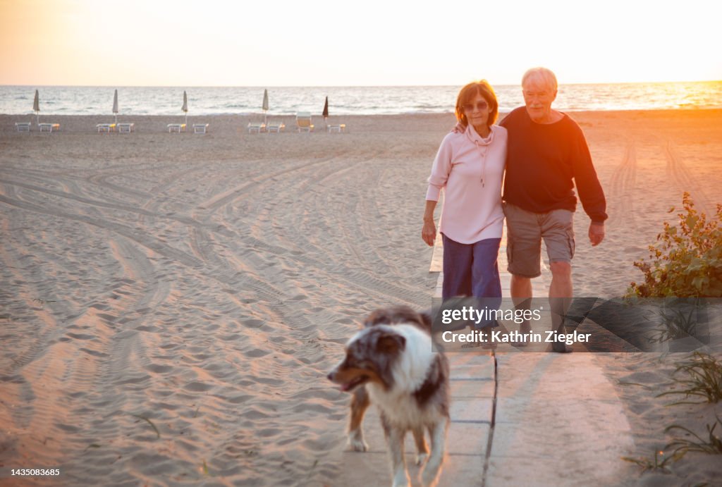 Senior couple walking their dog on the beach at sunset