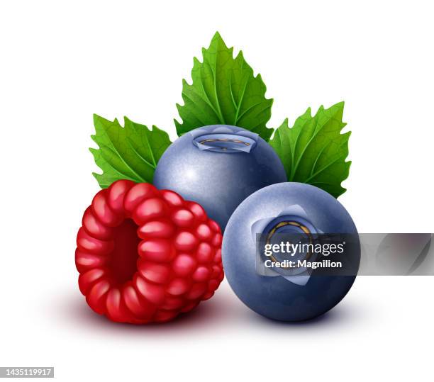 raspberry, blackberry, blueberry sweet berries mix - jam texture stock illustrations