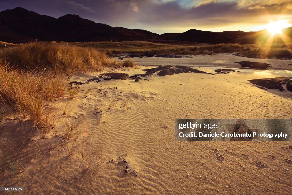 Warm dune at sunset