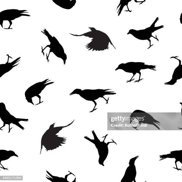 Triangle Crow Pattern 864 Crows Pattern Stock Photos, High-Res Pictures, and Images - Getty ...