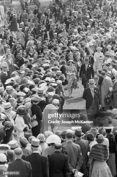 Queen Elizabeth II amongst the crowds in the paddock at Ascot, 20th June 1956. Original Publication : Picture Post - 8531 - The Queen's Crowded Week...