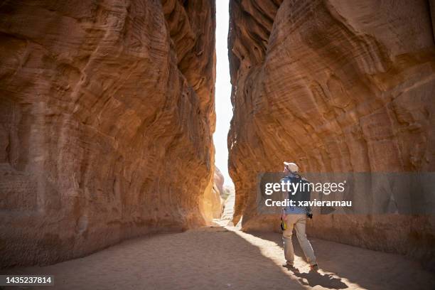 landscape photographer working in al-hijr, east of hegra - saudi arabia mountain stock pictures, royalty-free photos & images