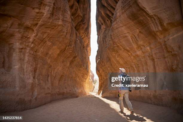 landscape photographer working in al-hijr, east of hegra - mada'in saleh stock pictures, royalty-free photos & images