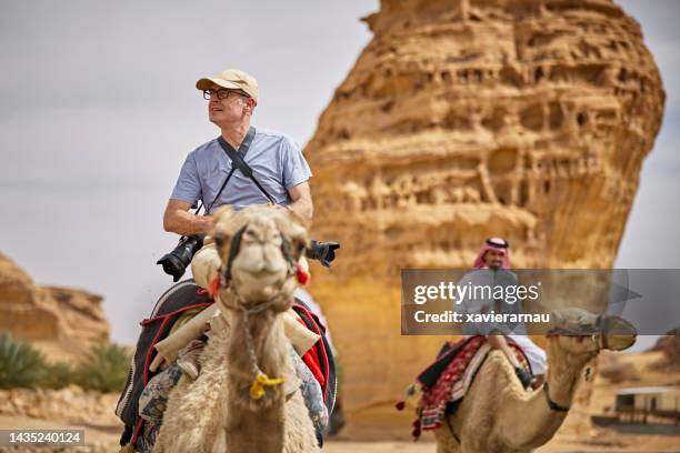 professional landscape photographer and guide on camels - al madinah bildbanksfoton och bilder