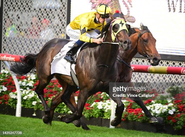 Chad Schofield riding Vultan winning Race 3, the Seppelt Wines Country Cup Final, during Manikato Stakes Night at Moonee Valley Racecourse on October...