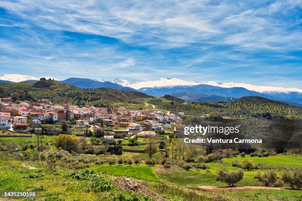 beas de granada - province granada, spain - granada province imagens e fotografias de stock