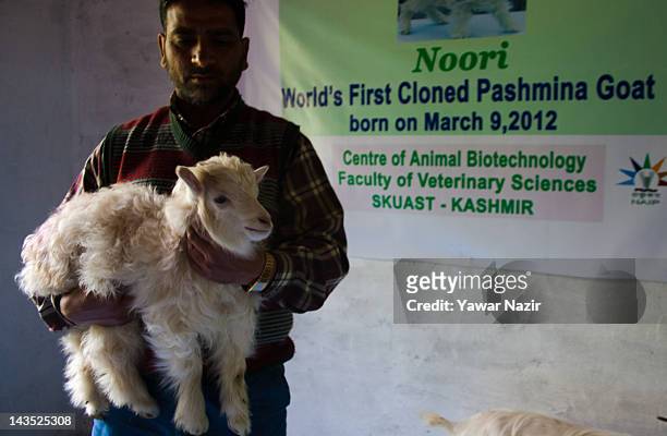 16 Kashmir Animal Husbandry Department Photos and Premium High Res Pictures  - Getty Images