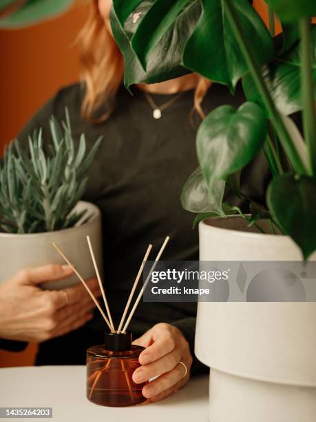 woman with potted houseplant and fragrance sticks - aromatherapie verstuiver stockfoto's en -beelden