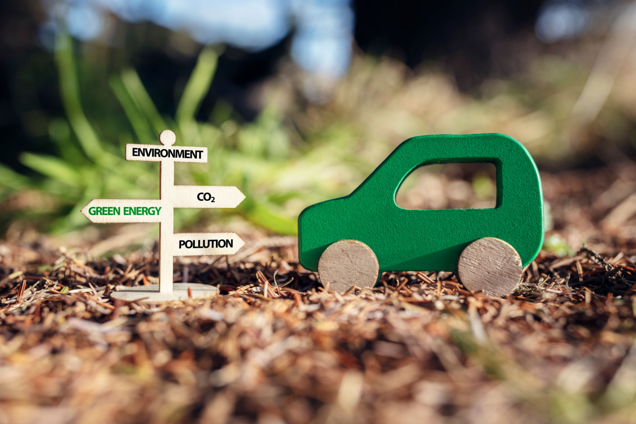 eco friendly car products