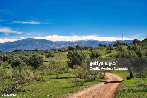 sierra nevada - province of granada, spain - andalucian sierra nevada stock pictures, royalty-free photos & images