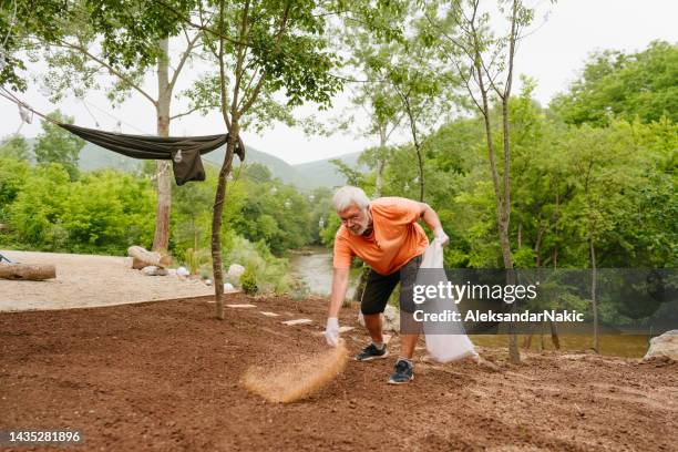 hombre mayor está plantando la semilla de hierba en su patio delantero - sembrar fotografías e imágenes de stock