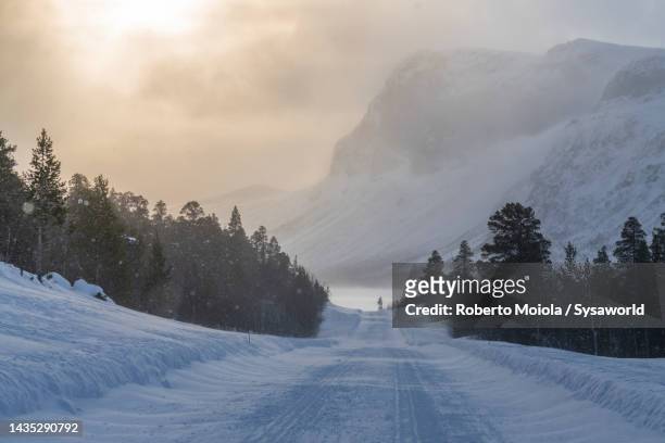 dramatic sunset over an empty snowy road, sweden - snow road stock-fotos und bilder
