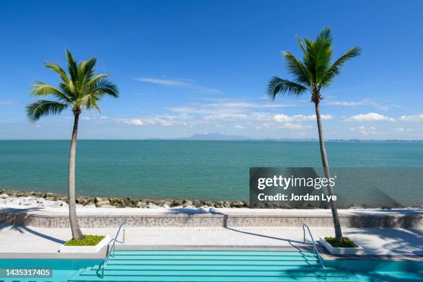 tropical climate with pool and sea view - palm tree stockfoto's en -beelden