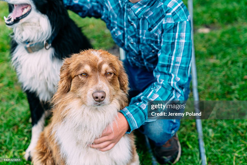 Portrait d’un adolescent agriculteur tenant ses deux mignons chiens de ferme sur un ranch familial d’une petite ville du Colorado, aux États-Unis