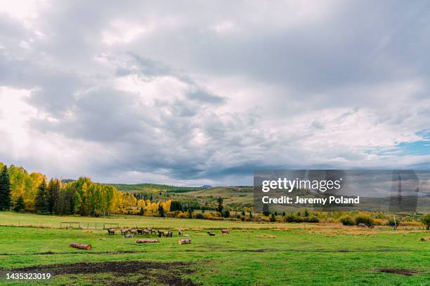 wide angle shot of a beautiful, green small town family-owned ranch in colorado in the fall colors - colorado plateau stock pictures, royalty-free photos & images
