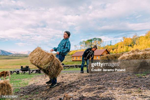 mother and young teenage son working outdoors together to move bales of hay on a small town family-owned ranch in colorado, usa - small town america stock pictures, royalty-free photos & images