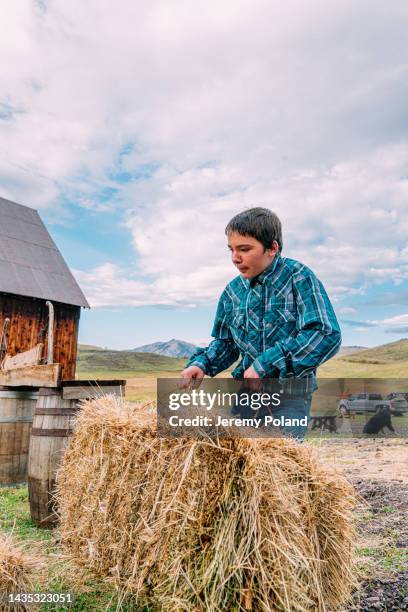 Boys On Ranches Teen Ranch Photos and Premium High Res Pictures - Getty Images