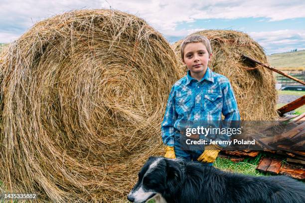 copy space wide angle portrait of a cute stoic male caucasian rancher child wearing a button down shirt and work gloves standing with his dog in front of a large circular bale of hay on a small town family-owned ranch in colorado, usa - mt wilson colorado stock pictures, royalty-free photos & images