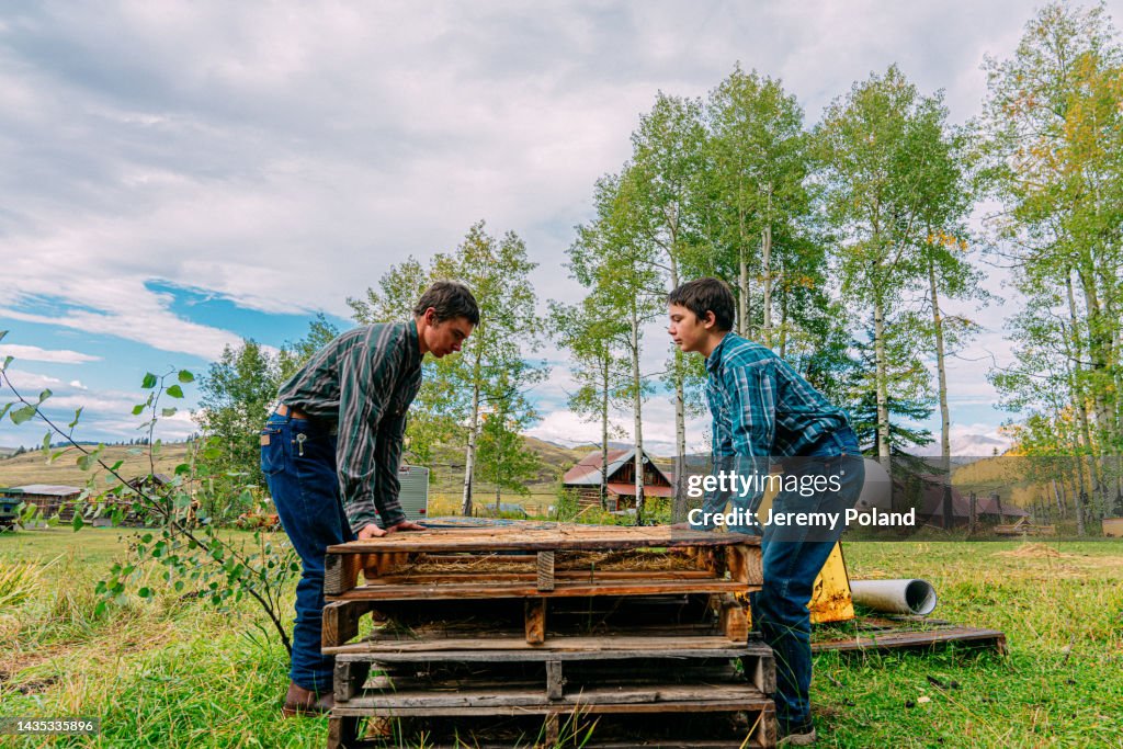 Boys On Ranches Two Stoic Young Teenage Rancher Boys Lifting A Wood Pallet Together On ...