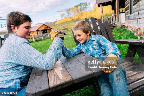 wide angle close-up shot of two young caucasian rancher brothers sitting together laughing and arm wrestling while taking a break after hard work on the farm on a small town family-owned ranch in colorado, usa - mt wilson colorado stock pictures, royalty-free photos & images