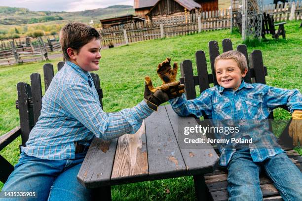 two young caucasian rancher brothers smiling and sharing a secret handshake or high five while taking a break after a day of hard work on the farm on a small town family-owned ranch in colorado, usa - mt wilson colorado stock pictures, royalty-free photos & images