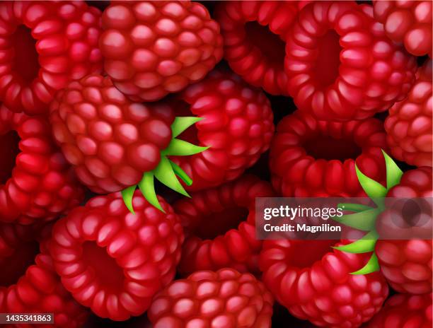 Raspberry Solid Shape Raspberry Solid Background